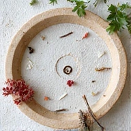 Traditional Chinese Medicine symbols and elements like acupuncture needles, a yin-yang symbol, and medicinal herbs. A balanced, serene composition.